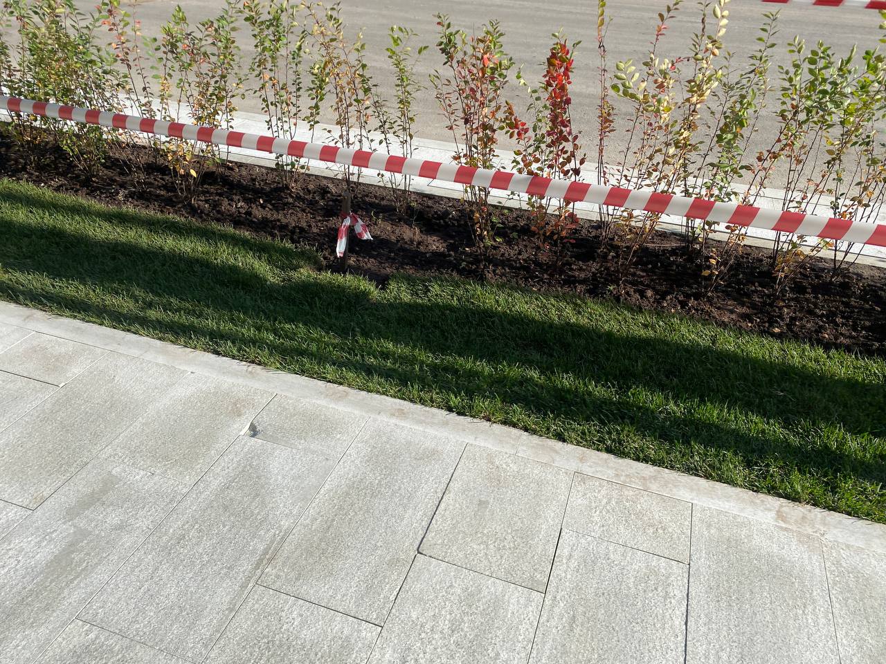 https://kislovodsk.blago-s.ru/storage/app/uploads/public/670/e06/820/670e06820d5c2175931920.jpeg