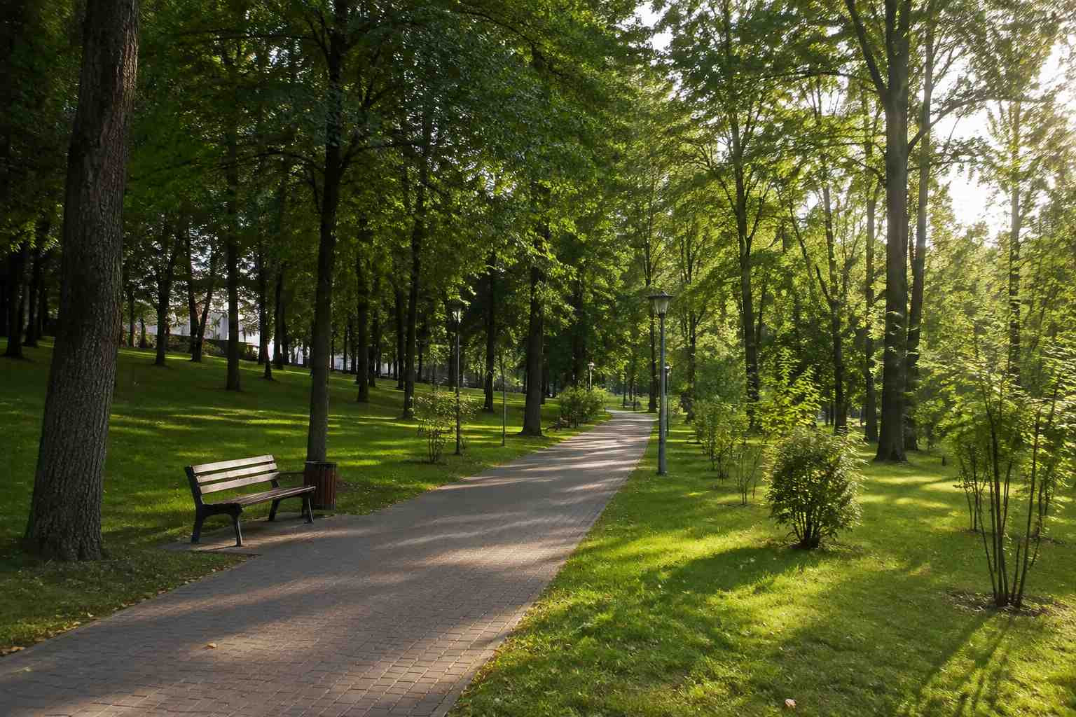 https://kislovodsk.blago-s.ru/storage/app/uploads/public/6a7/eef/ed2/6a7eefed2af22038960370.jpg