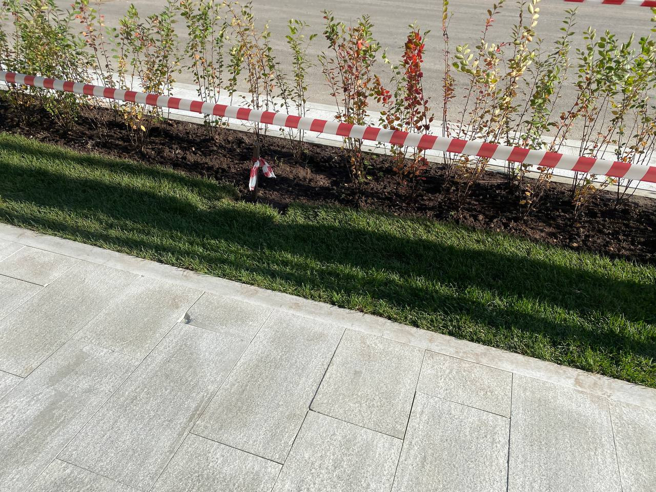 https://kislovodsk.blago-s.ru/storage/app/uploads/public/68b/fb1/6c6/68bfb16c6680d958739657.jpeg